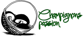 Champignons passion